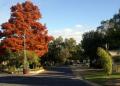 Numurkah Caravan Park - MyDriveHoliday