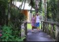 Airlie Cove Resort and Van Park - MyDriveHoliday