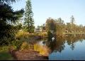 Belmont Pines Lakeside Holiday Park - MyDriveHoliday