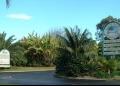 Coastal Palms Holiday Park - MyDriveHoliday