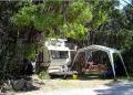 Crayfish Creek Van and Cabin Park and Spa Treehouse - MyDriveHoliday
