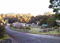 Rosebery Cabin and Tourist Park - MyDriveHoliday