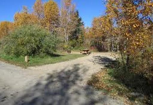 Brewer S Campground Aspen Beach Provincial Park In