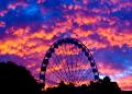 Wheel of Brisbane - MyDriveHoliday