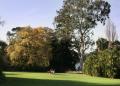 Melbourne Royal Botanic Gardens - MyDriveHoliday