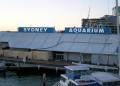 Sydney Aquarium - MyDriveHoliday