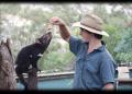 Bonorong Wildlife Sanctuary - MyDriveHoliday