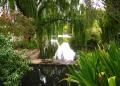 Adelaide Botanic Garden - MyDriveHoliday