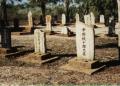 Japanese Cemetery - MyDriveHoliday