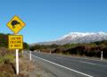 Driving Tips For New Zealand - MyDriveHoliday