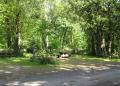 Lewis and Clark Campground and RV Park - MyDriveHoliday