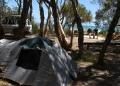 Home Beach Camping Ground - MyDriveHoliday